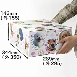 総勢43匹のワンちゃんを印刷したフルカラー段ボール箱｜愛犬用グッズ（イヌ・ドッグ用品）